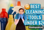 best cleanup tools under budget