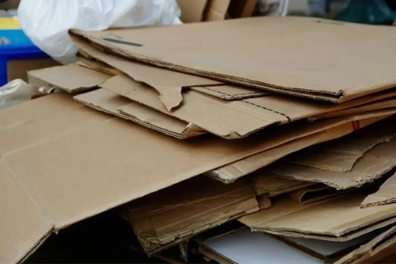 recycle paper and cardboard properly