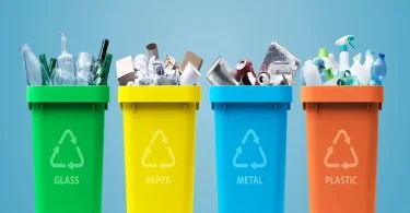 waste management guide for beginners